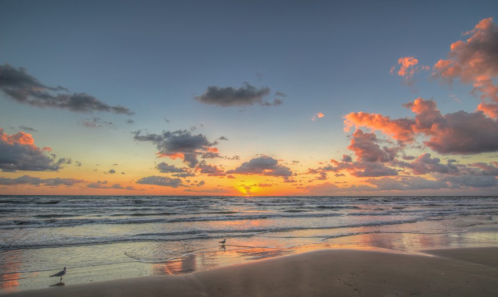 Seagulls playing in the surf during sunset on one of the prettiest islands in Texas