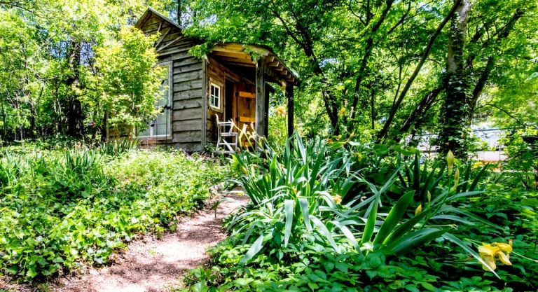 16 Best Airbnbs In Dallas (Treehouses, VRBOS, & More!) - Texas Travel 365