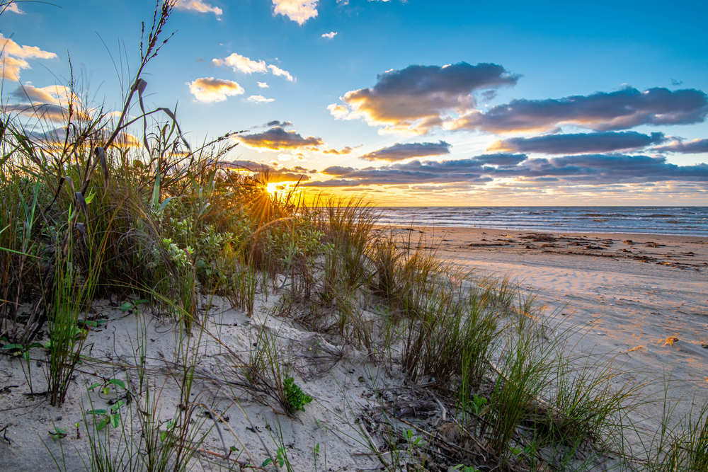sand dune sunrise in Texas coast