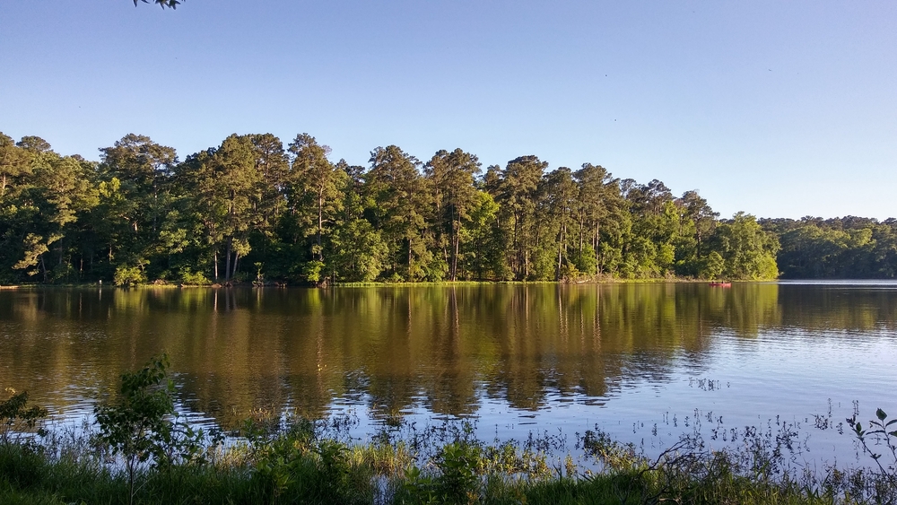 blue skies and green trees surrounding Lake Raven at Huntsville State Park