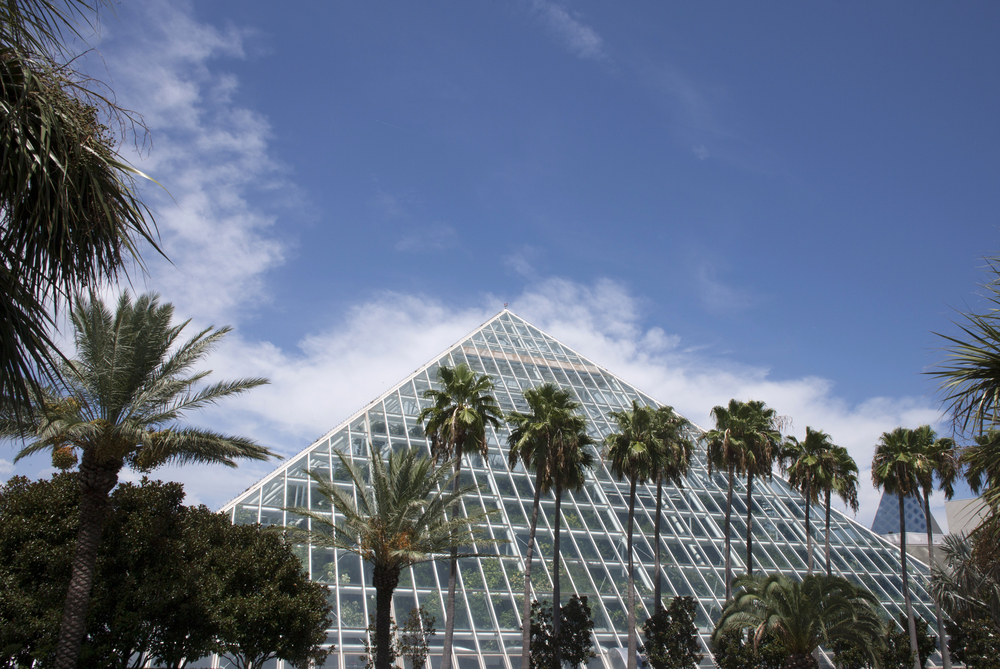 The glass pyramids of the Moody Gardens.