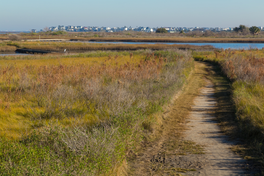 A hiking trail at the Galveston Island State Park 