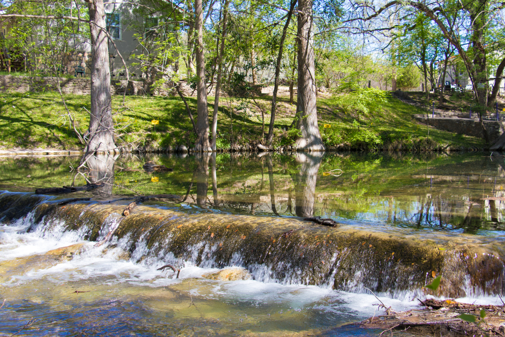 Visit Cypress Creek river that goes through Downtown area with calm flat water surrounded by grassy banks and trees