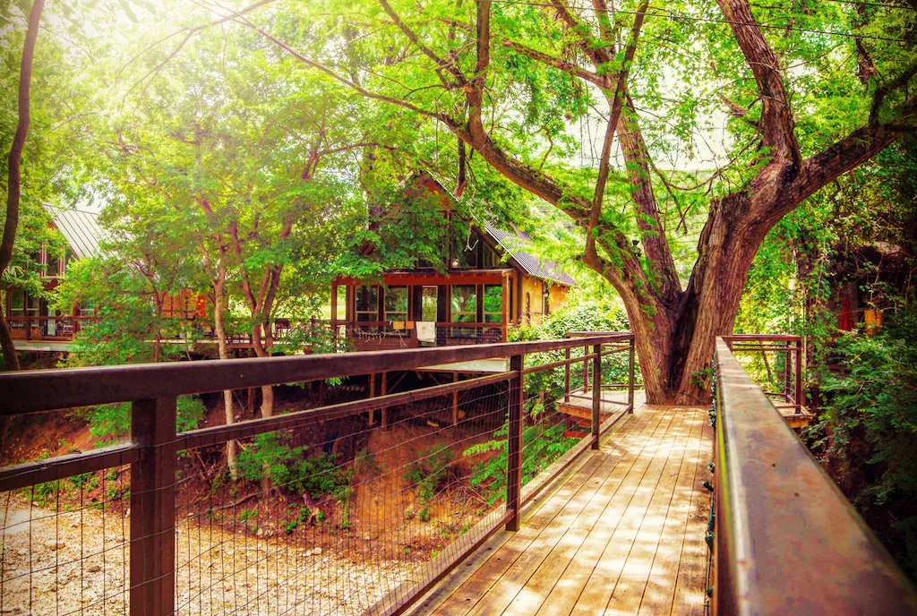 sunset at one of the pretty treehouses in texas