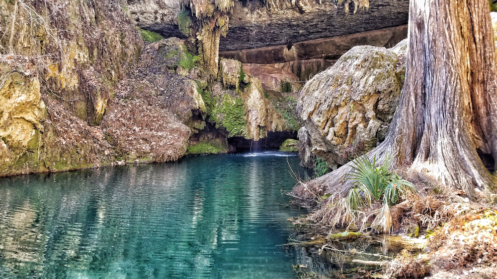 Grotto with blue pool, large trees at side with sunlight waterfall at center.