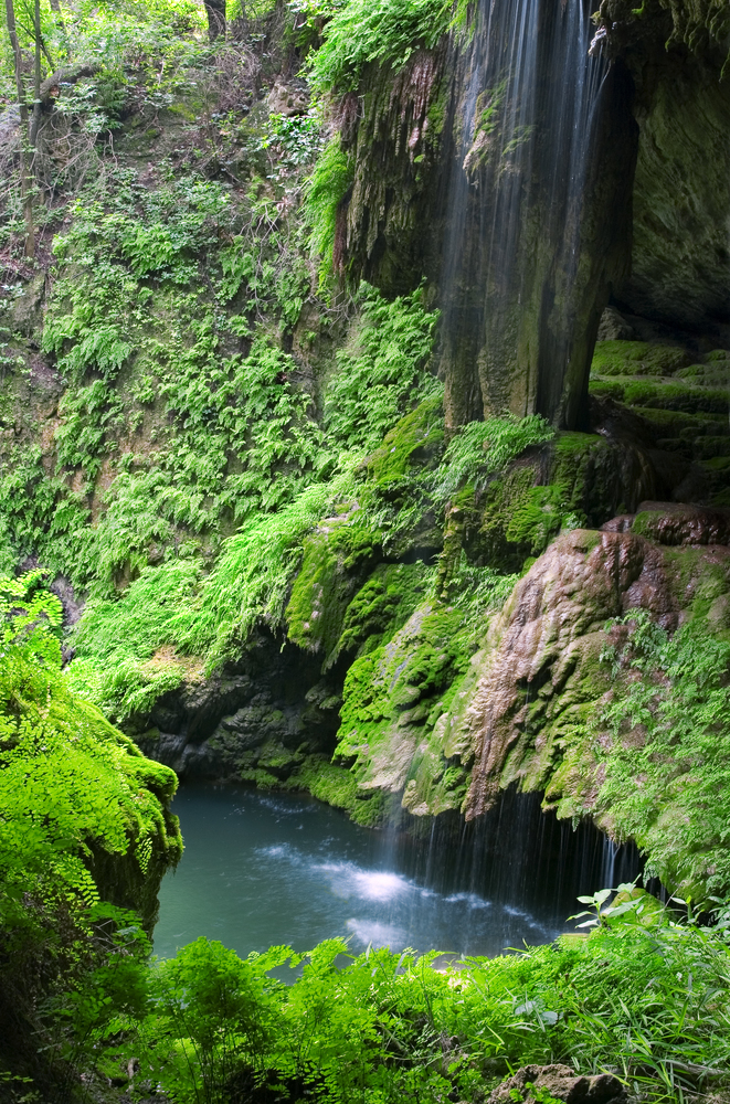 Waterfall and grotto at Westcave Discovery Center. One of the prettiest things to do in Dripping Springs.