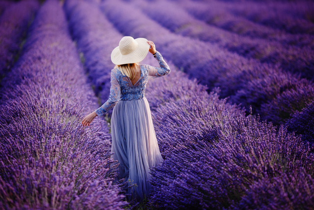 A woman in a lavender dress with a white sun hat walking through fields of lavender.