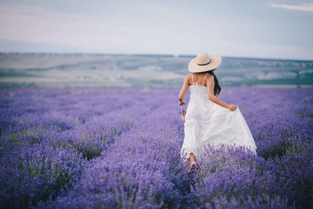 A woman in a white dress and a white sun hat carrying a basket as she walks through fields of lavender. 