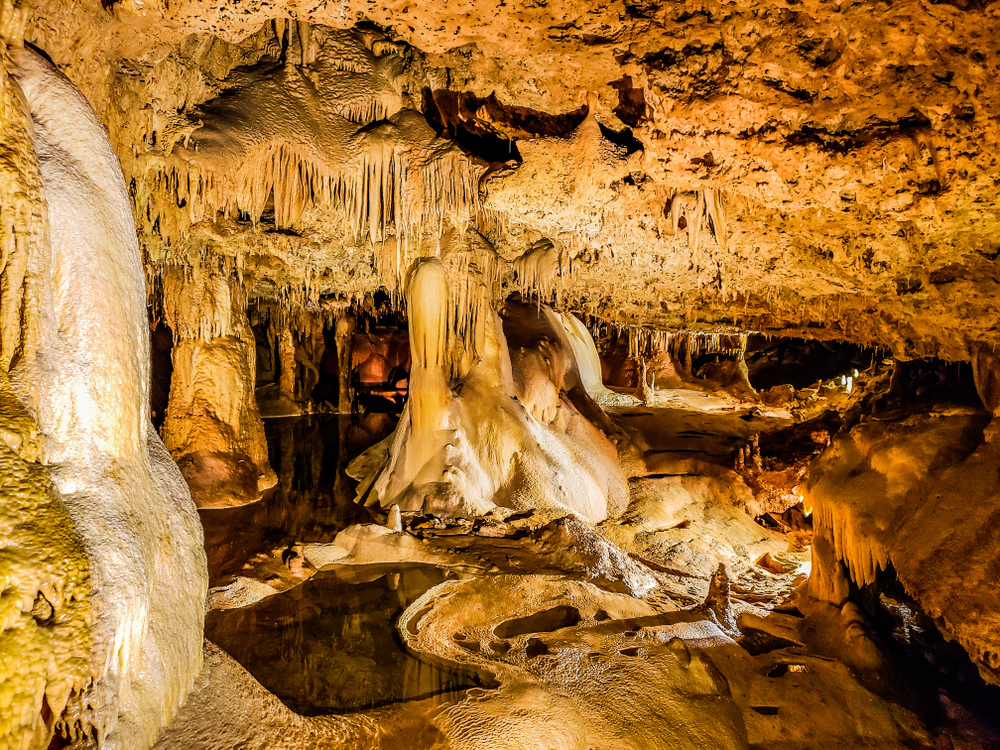 Inner Space Cavern in Georgetown. A really unique stop on the drive from Austin to Dallas.