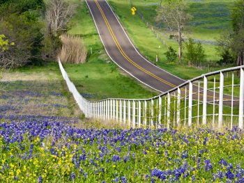 A photo of the backroads through Texas Hill Country, taking the scenic drive from Dallas to San Antonio