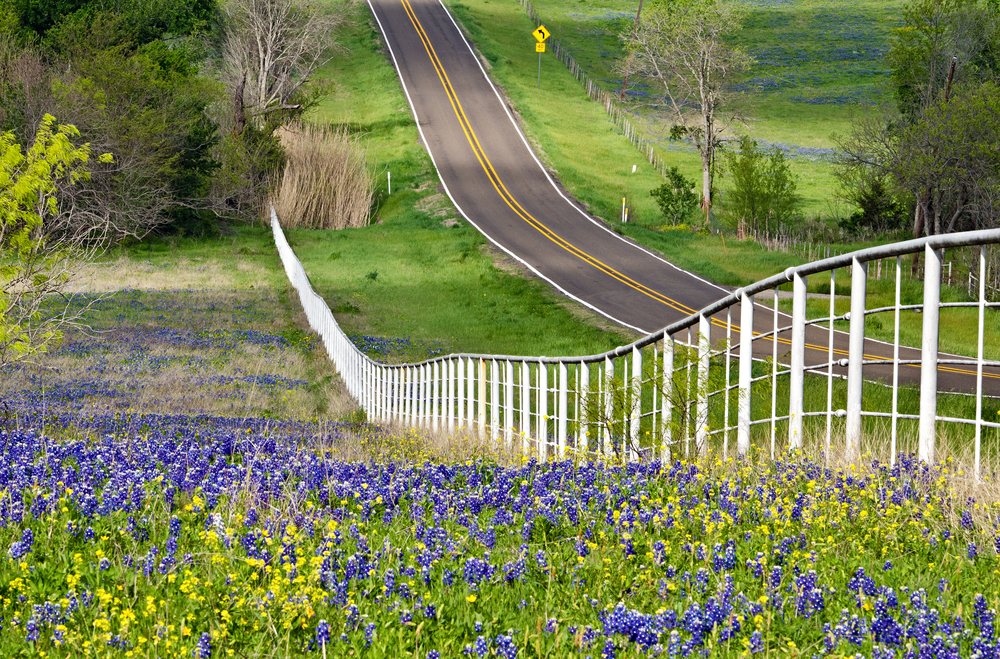 A photo of the backroads through Texas Hill Country, taking the scenic drive from Dallas to San Antonio