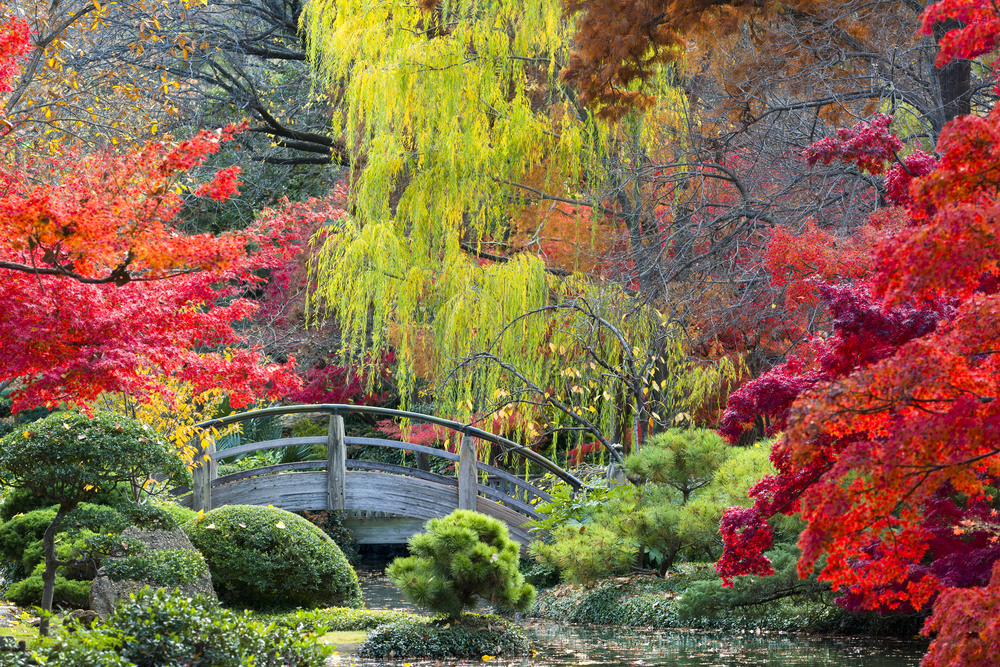Photo of the Japanese Garden at the Fort Worth Botanic Gardens, one of the most informative gardens in Texas. 