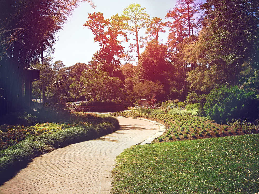 Photo of a plant lined pathway at the Houston Botanic Gardens, one of the best botanical gardens in Houston. 
