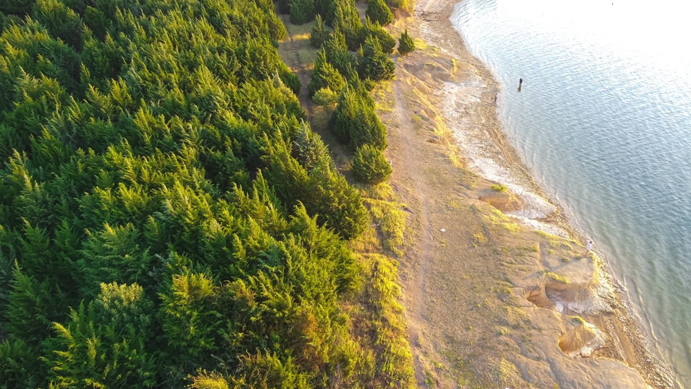 The coast of Lavon lake has to be one of the pretties shorelines of all lakes in Dallas, as it looks sandy and beach like. Plus the treelines are close to the edge of the water! 