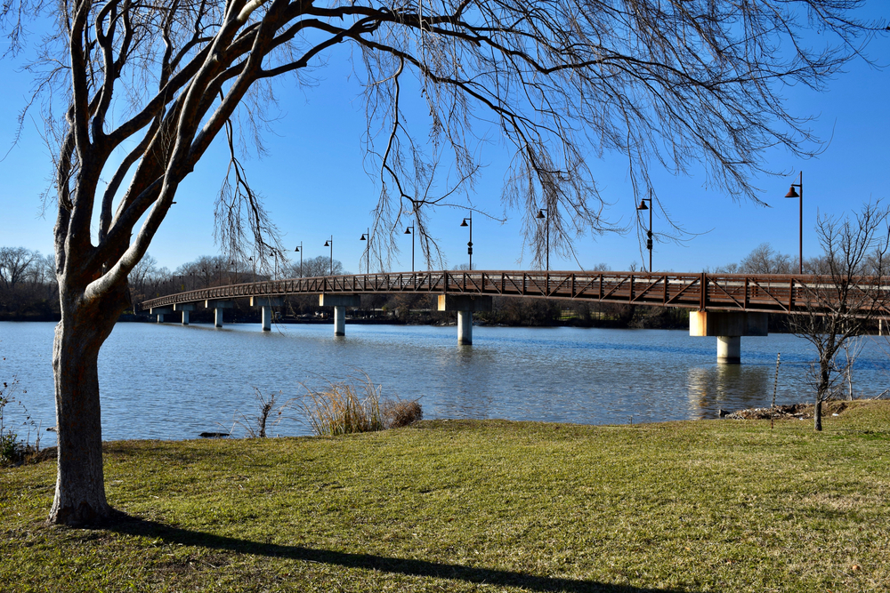 At white rock park, which is one of those lakes in Dallas, this lake is in the middle of a city near trees and greens and walking trails and bridges. 