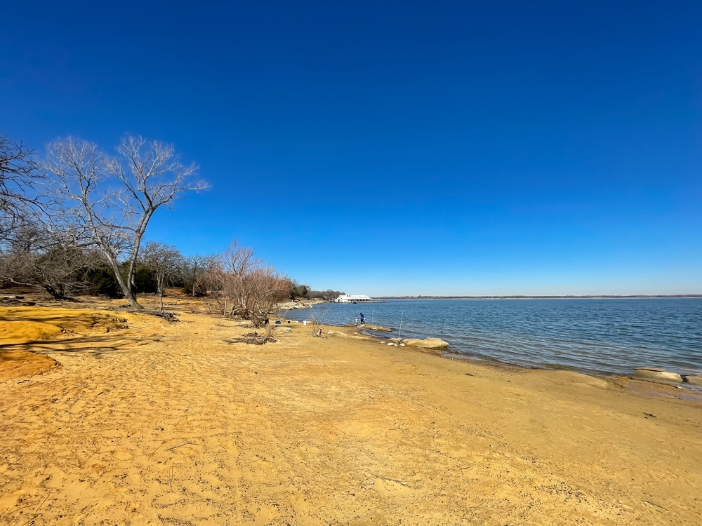 During winter, lake lewisville, which is one of those famous lakes in Dallas, has sandy beaches, dead trees, but blue waters on the shoreline.