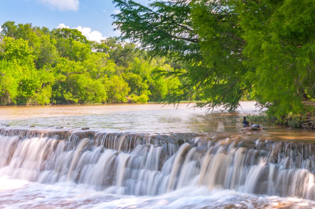 Blanco river surrounded by green trees with two ducks in the river.