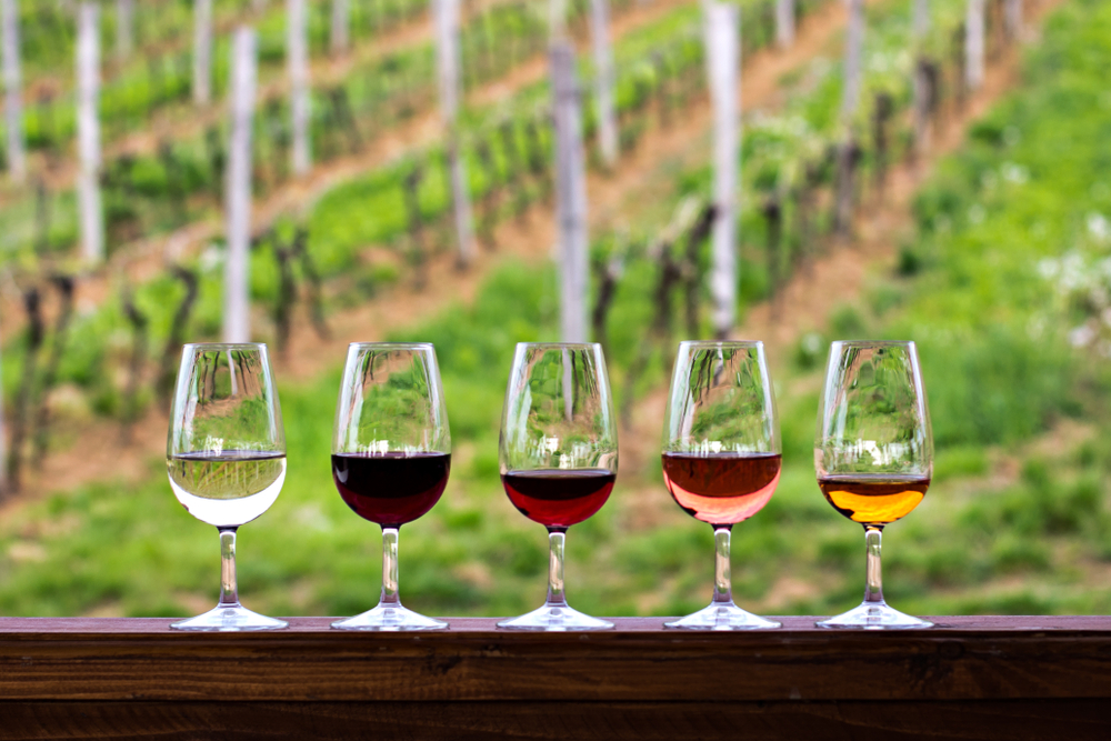 A wine tasting is set up at one of the wineries in Texas: there are 5 glasses of wine on a tasting counter that looks over the vineyard in the background.