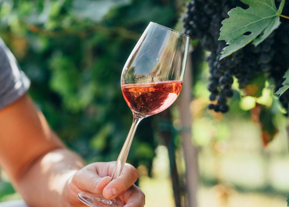 A guest holds up a glass of wine next to a series of grapes on a vine at one of the wineries in Texas.