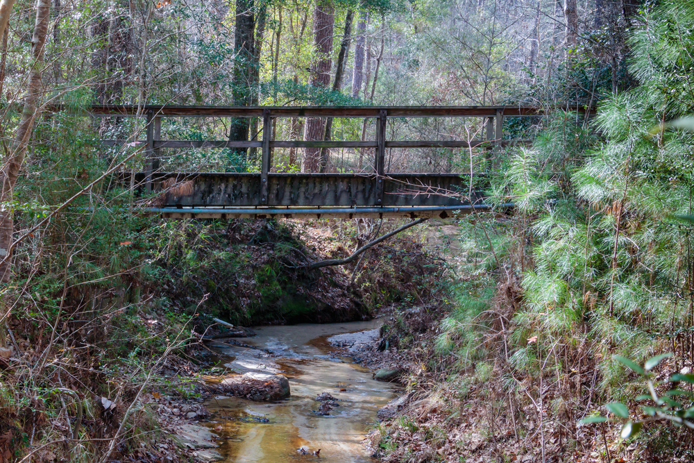Photo of a bridge going over a creek in the Angelina National forest, one of the best places for hiking in Houston. 