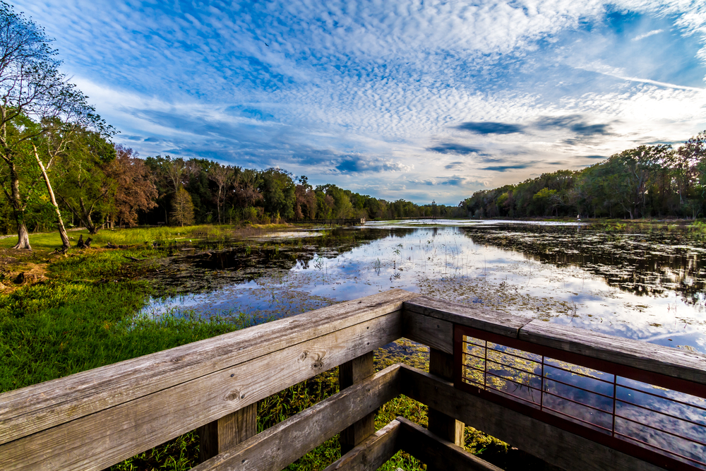 Photo of a marsh overlook at Brazos Bend State Park which has some of the most adventurous hiking in Houston.