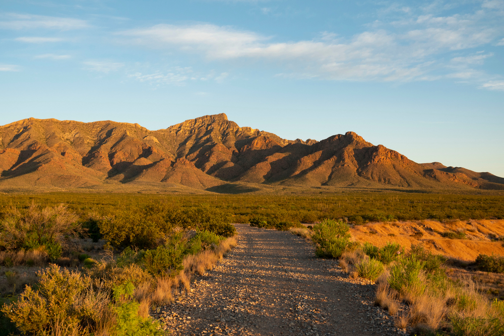 A walking trail paves the way for mountains in Texas, and in this distance of the Franklin mountains, you can see Anthony's Nose-- a peak that looks like a nose! 