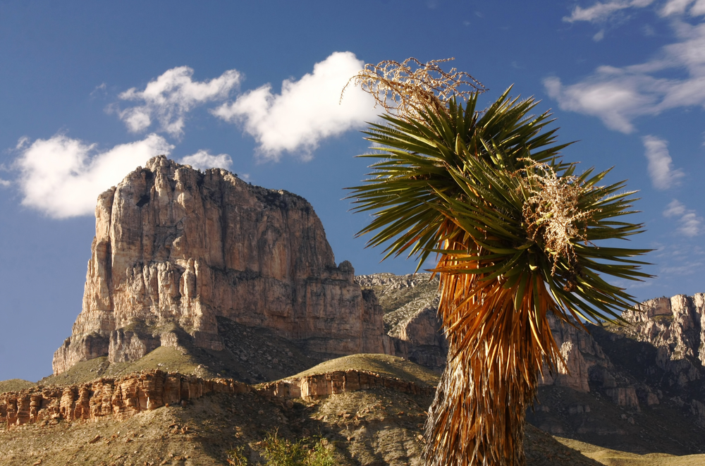 The Guadalupe mountains are mountains in Texas that tower like shelves in the sky: this summit and peak is surrounded by desert plants.