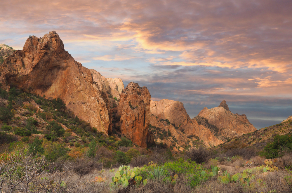 Mountains in Texas are more common than you think: these towering, brown hills overlook cactus and terrain in the sunset.