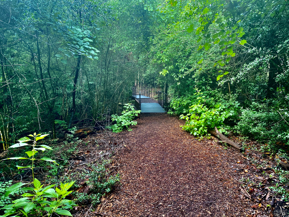 A trail surrounded by lush greenery at an arboretum on a sunny day during a weekend in Houston