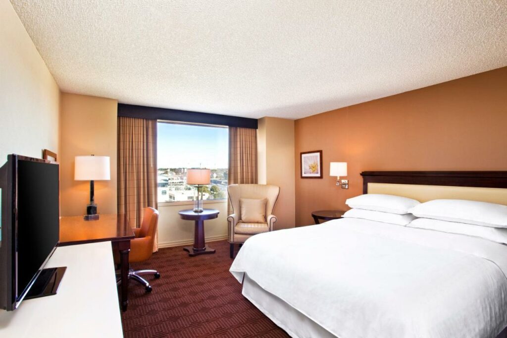 The simple and clean rooms of the Sheraton Austin make it a great option of where to stay in Austin-- and the outdoor views of the neighborhood are also a plus! 