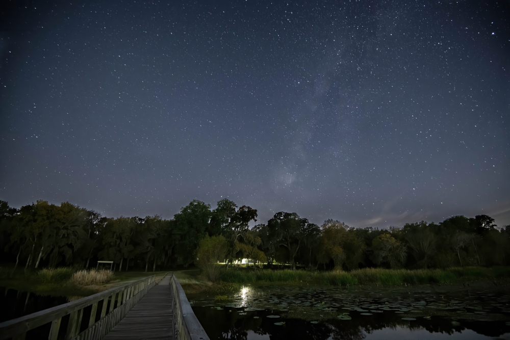 A park in Houston offers a clear view of the night sky, which is one of the best areas for sky gazing, one of the best things to do in Houston at night.