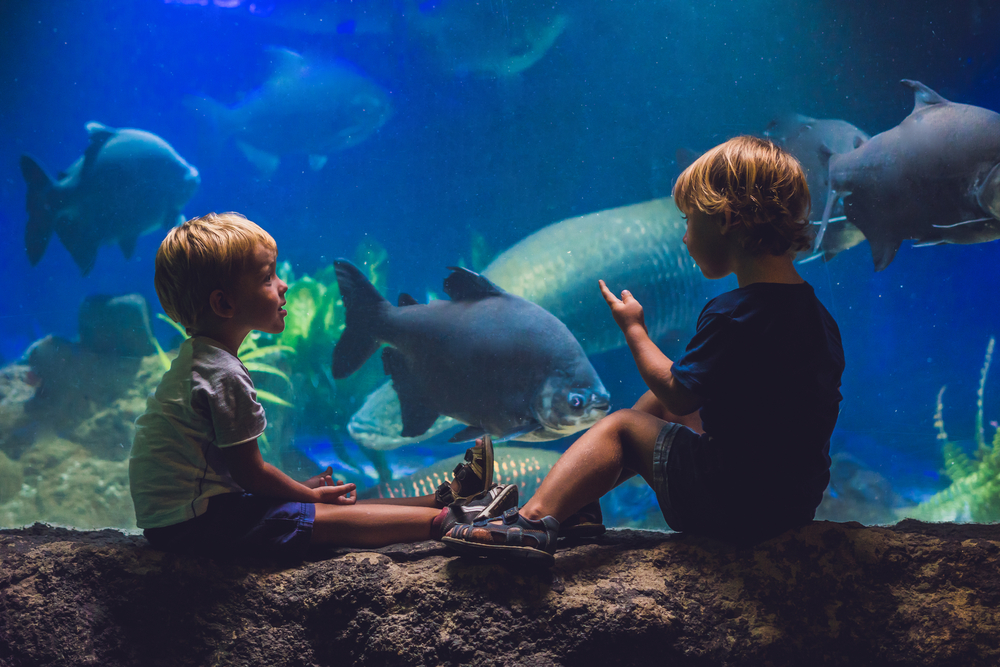 Photo of two kids looking into one of the exhibits at Downtown Aquarium, one of the best things to do in Houston with kids.