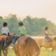 Photo of three kids horseback riding at Cypress Trails Ranch, one of the best things to do in Houston with kids.