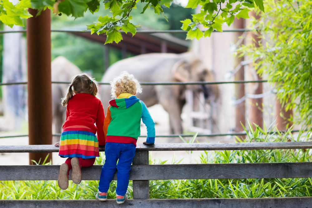 Photo of two children looking in the elephant enclosure at the Houston Zoo, one of the best things to do in Houston with kids. 